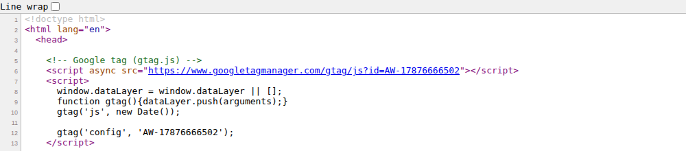 ERP storefront page source showing Google Ads identifier AW-17876666502